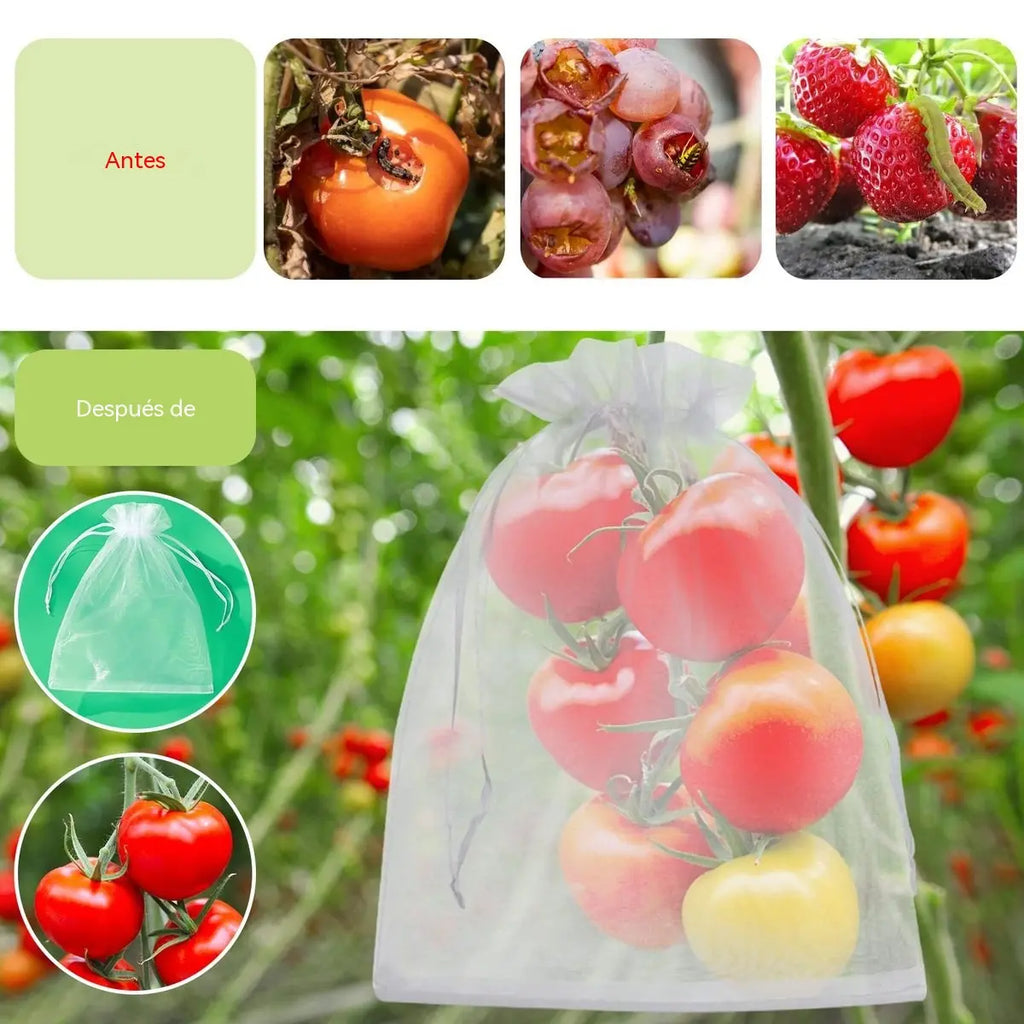 【50 sztuk (24*38 cm)】Moskitiera na muszki owocówki, siatka ochronna na drzewa do ogrodu dla ptaków, siatki ogrodowe do ochrony kwiatów, roślin, owoców i warzyw