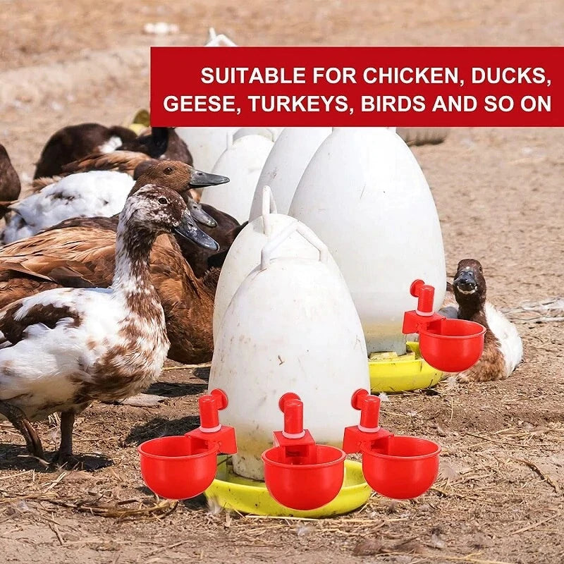 🦆🐔 Oferta ograniczona czasowo: 50% zniżki! 【10 sztuk】Automatyczne poidła dla drobiu