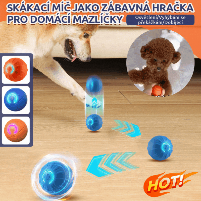 🐶⚽Kupite 1, dobijte 1 gratis🔥Loptica za skakanje s efektom gravitacije za kućne ljubimce, pametna slagalica za pse, automatska loptica za šetanje pasa, zabavna i zanimljiva igračka za pse.
