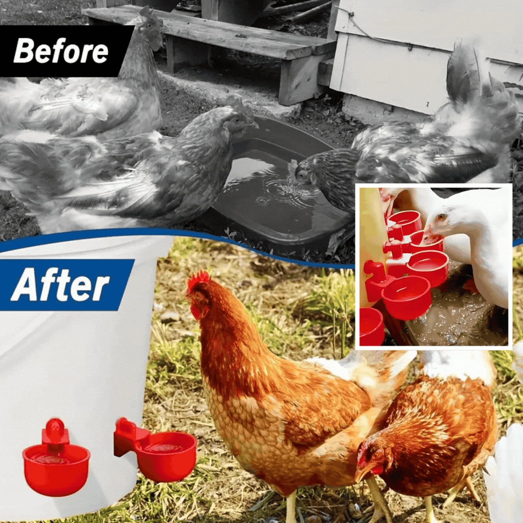 🦆🐔 Oferta ograniczona czasowo: 50% zniżki! 【10 sztuk】Automatyczne poidła dla drobiu