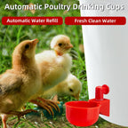 🦆🐔 Oferta ograniczona czasowo: 50% zniżki! 【10 sztuk】Automatyczne poidła dla drobiu