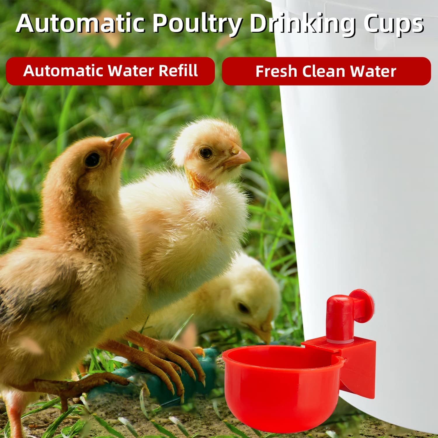 🦆🐔 Oferta ograniczona czasowo: 50% zniżki! 【10 sztuk】Automatyczne poidła dla drobiu