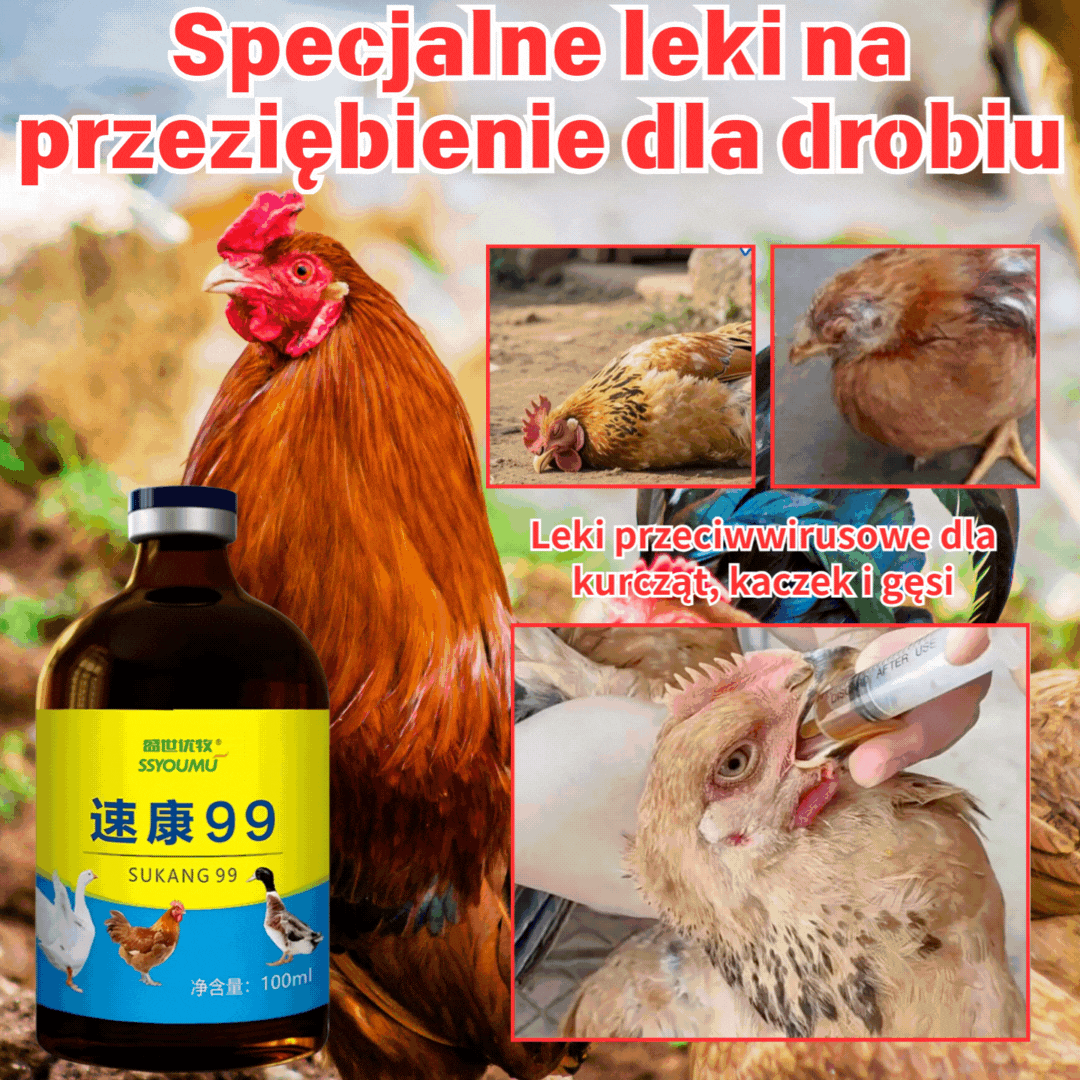 [2 butelek] 💊🐓🦆🕊️ Lek na ptasią grypę, utratę apetytu, biegunkę i kaszel u drobiu, kurczaków, kaczek i gęsi. 1 butelka 100 ml.